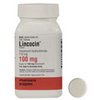 great-med-shop-Lincocin great-med-shop-Lincocin